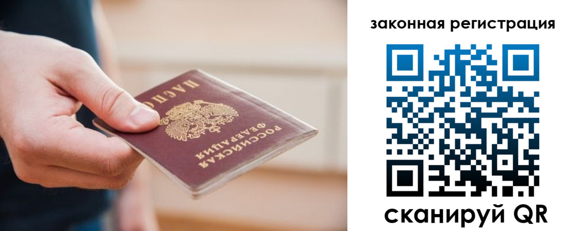 прописка в Кольчугино